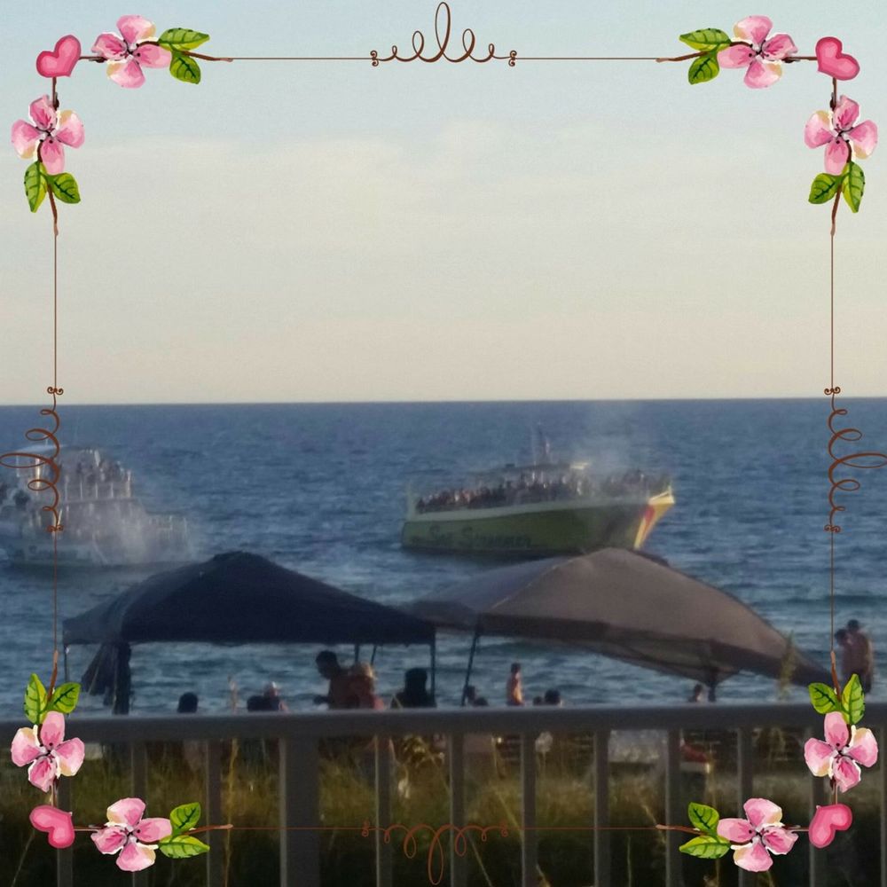 Meet your Posher, Jenny